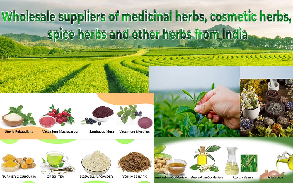 Supreme ayurveda